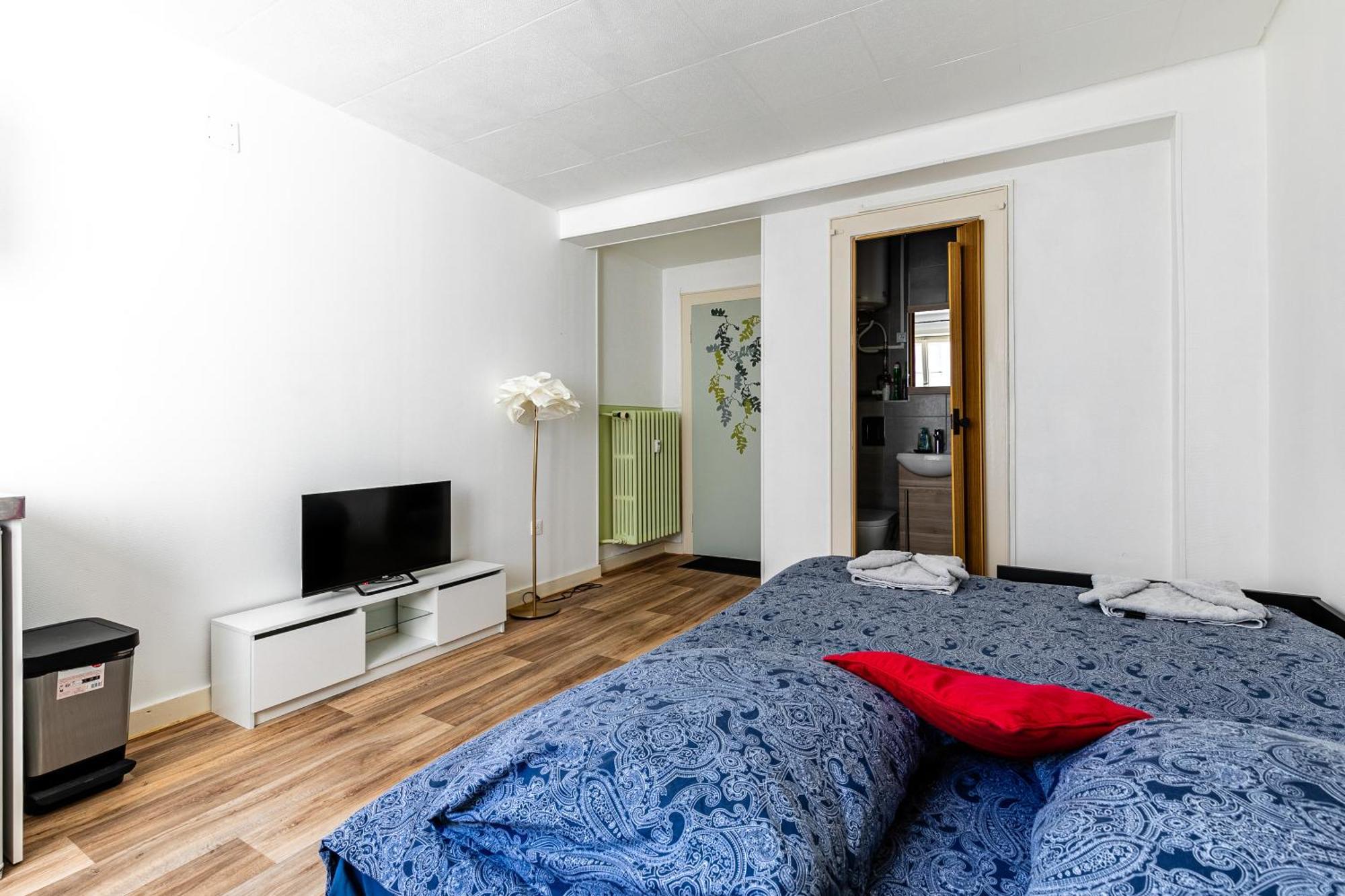 Studio Centre / Quartier Krutneau สตราสบูร์ก ภายนอก รูปภาพ